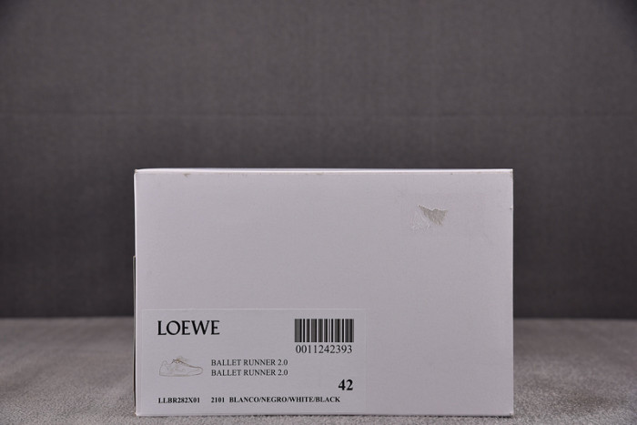 L0EWE Sneakers LW1000008