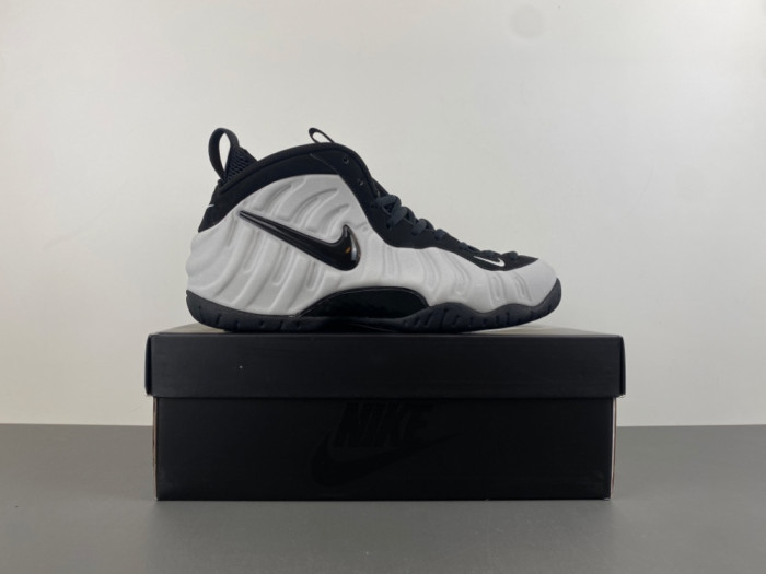 Nike Air Foamposite Pro Wolf Grey HF0794-001
