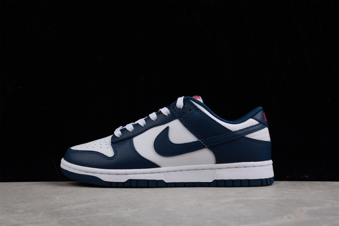 nike dunk low valerian blue dd1391-400